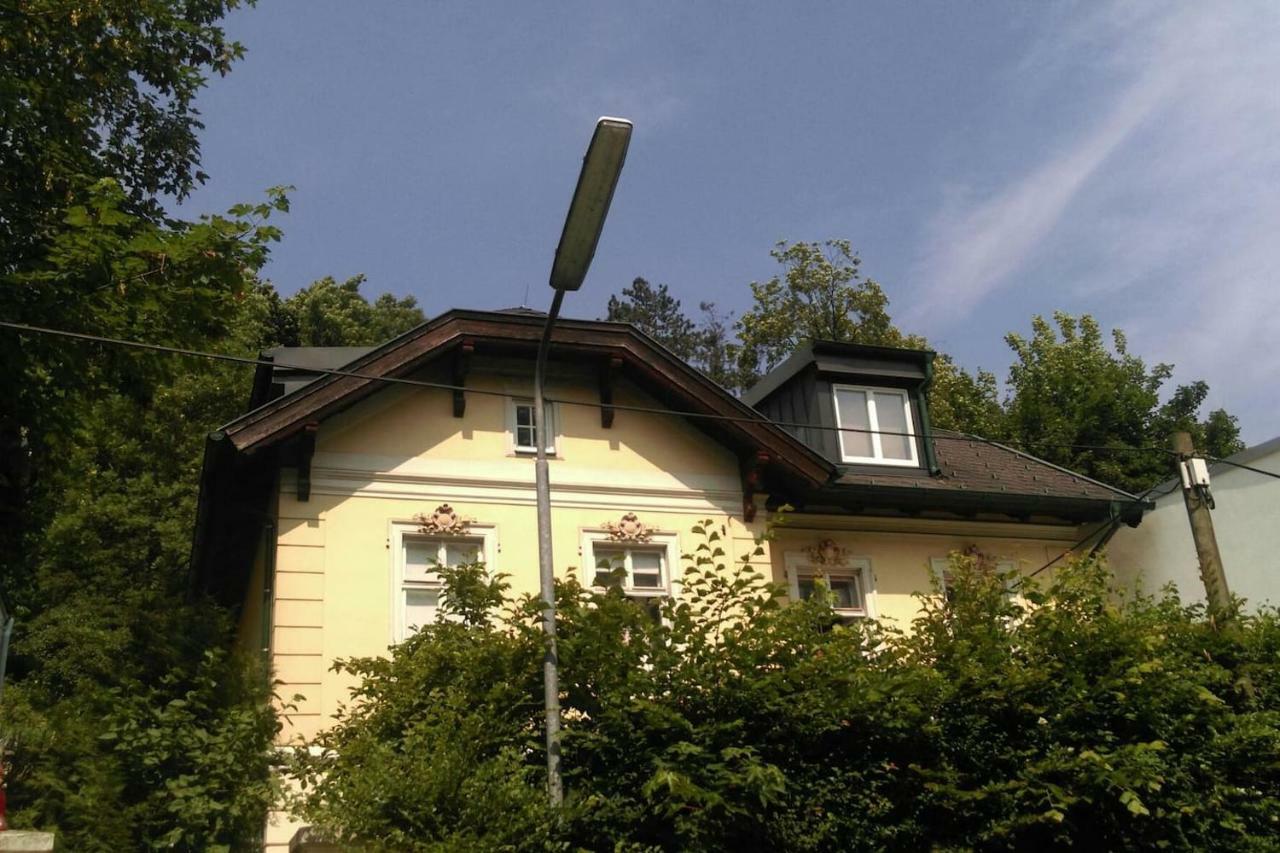 Ruhige, Grosse Ferienwohnung Am Muehlberg, Stadtrand Viyana Dış mekan fotoğraf