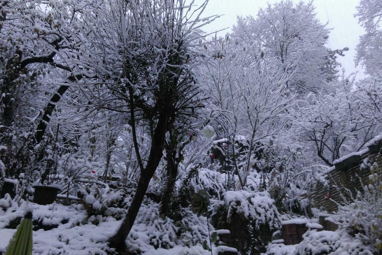 Ruhige, Grosse Ferienwohnung Am Muehlberg, Stadtrand Viyana Dış mekan fotoğraf