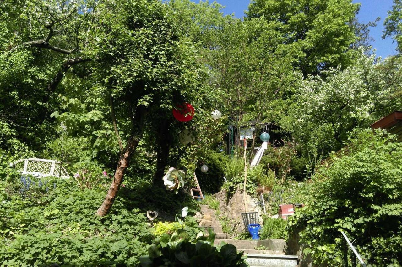 Ruhige, Grosse Ferienwohnung Am Muehlberg, Stadtrand Viyana Dış mekan fotoğraf